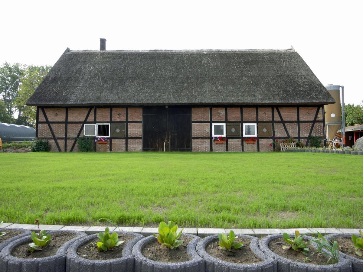 Ferienwohnungen Am Reiterhof Sallenthin Neu Sallenthin Exteriör bild